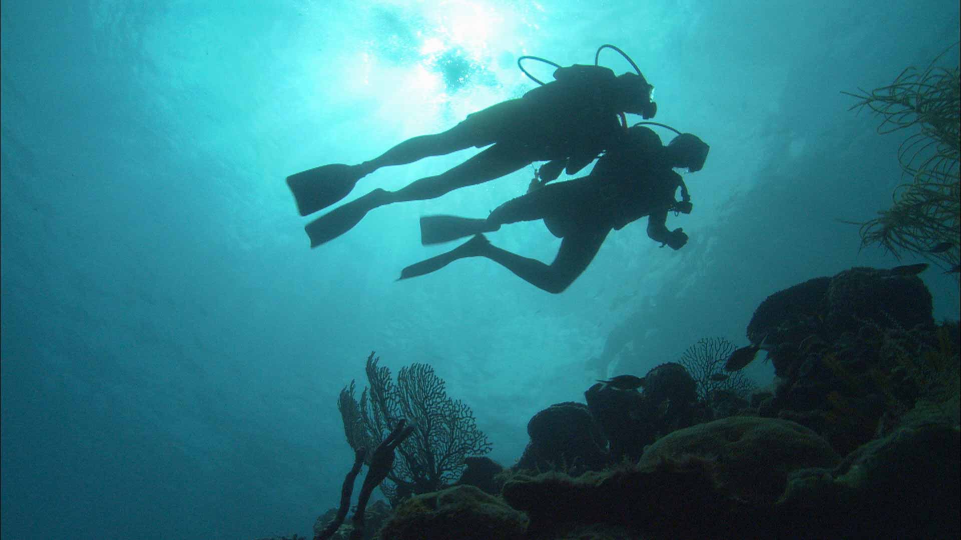 Destination_divers